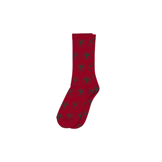 PIÀNZI CHRISTMAS SOCKS